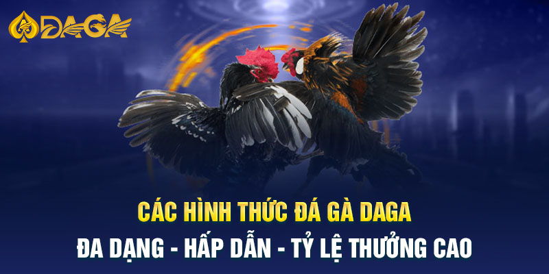 Các hình thức Đá gà Daga hấp dẫn nhất