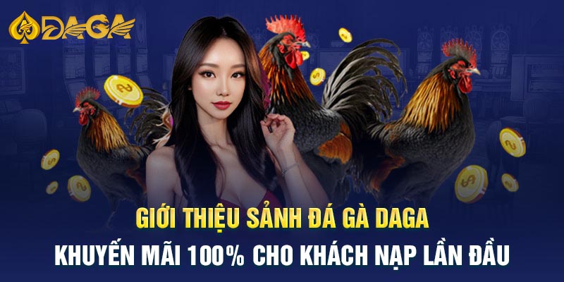 Giới thiệu về sảnh Đá gà Daga cực hot